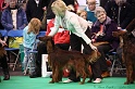 Crufts2011 261